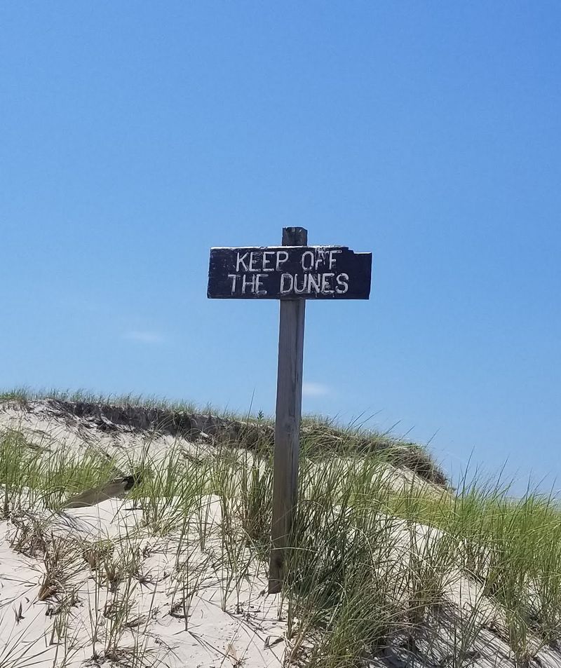 Respecting the Landscape