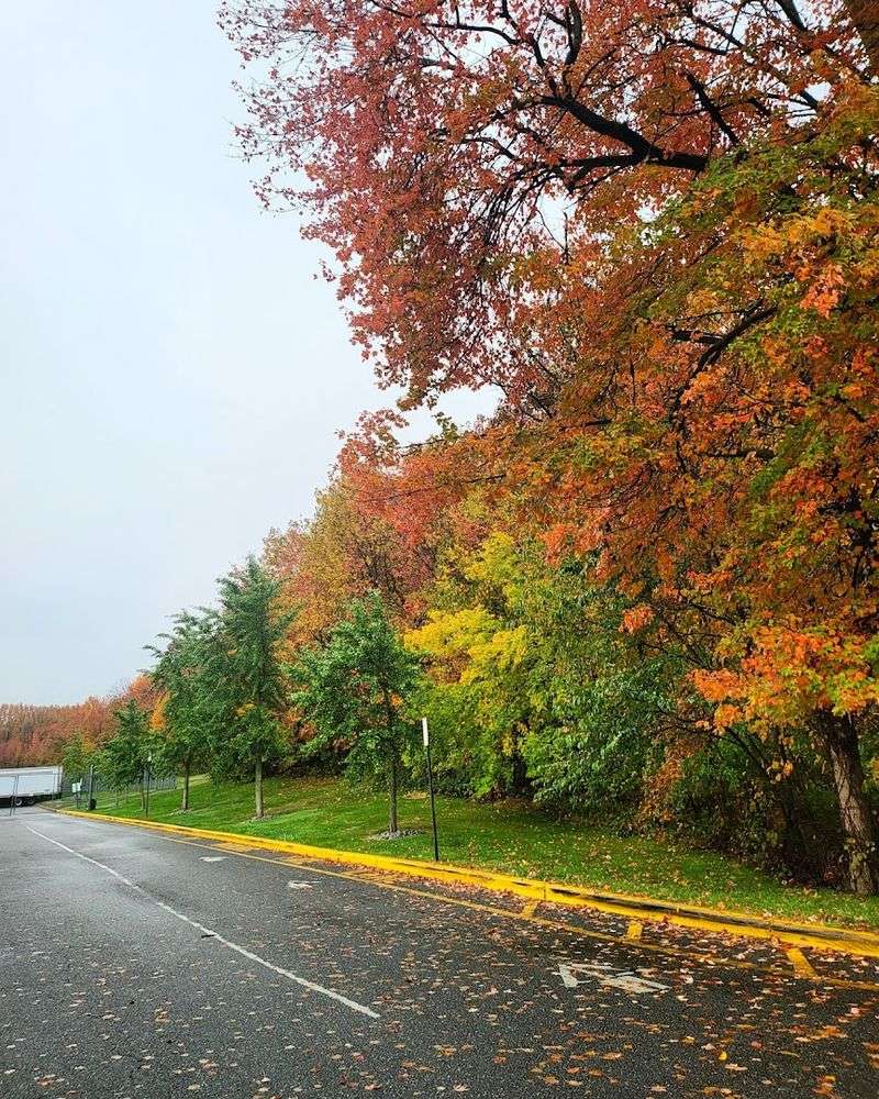 Biking the Backroads
