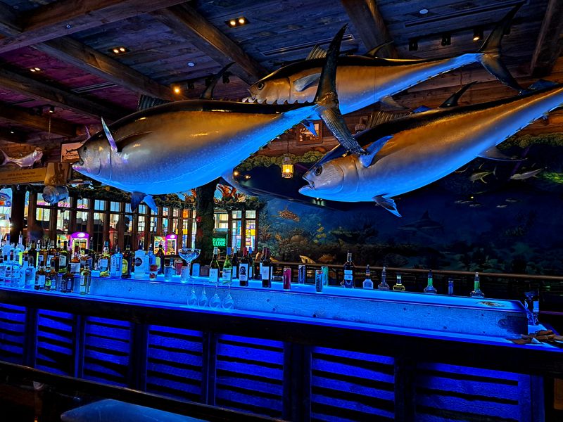 The Bar That Glows Like A Reef