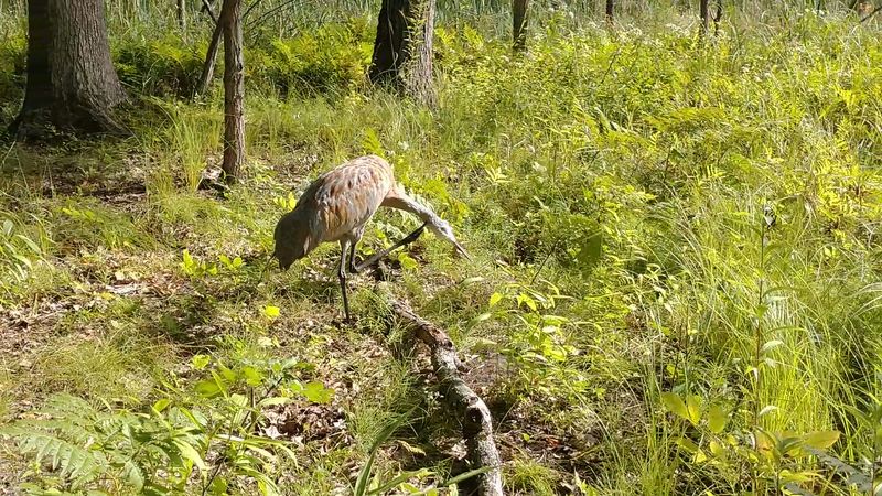 Kensington Metropark – Milford