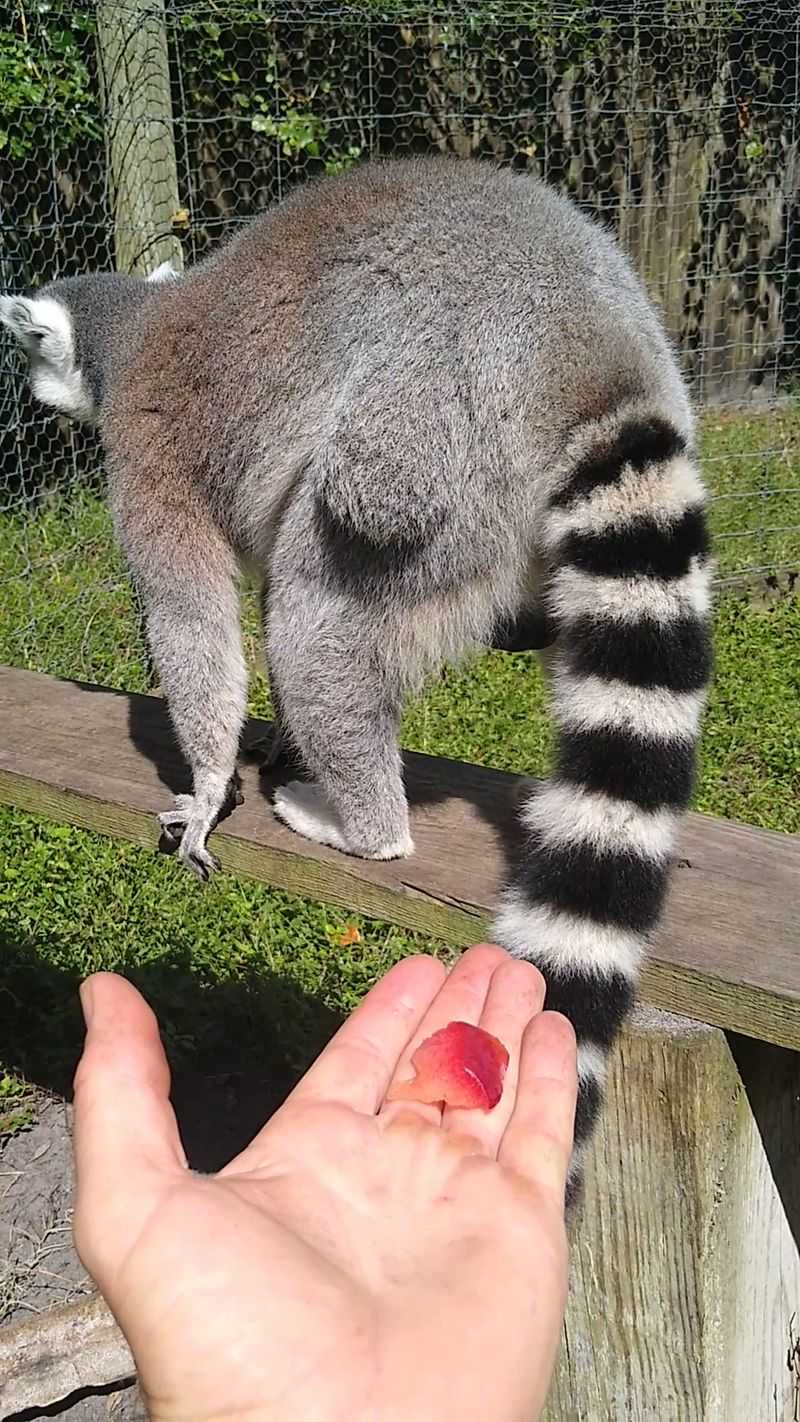 The Volunteer Program That Turns Passion Into Purpose