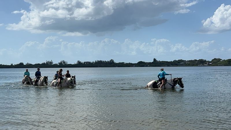 The Photo Package: Worth Every Single Dollar