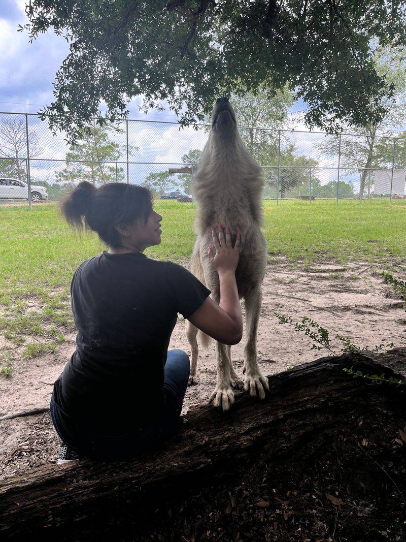 Volunteer Stories and Care Routines