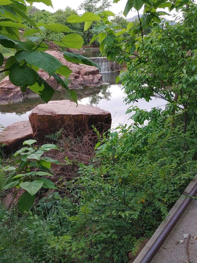 Photography Opportunities Everywhere