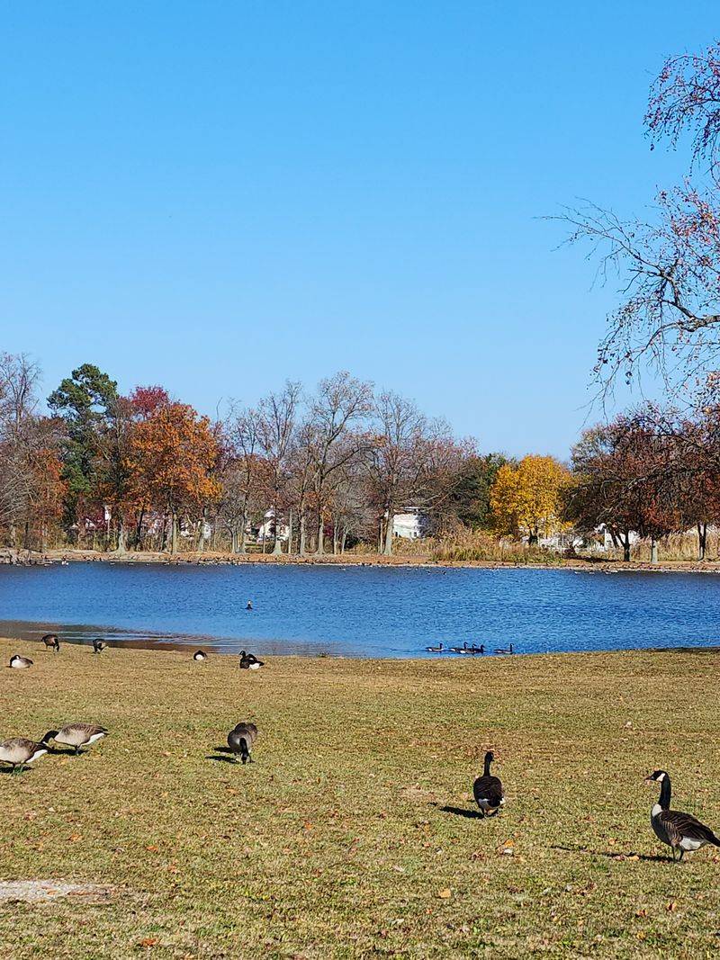 Birdwatching Moments