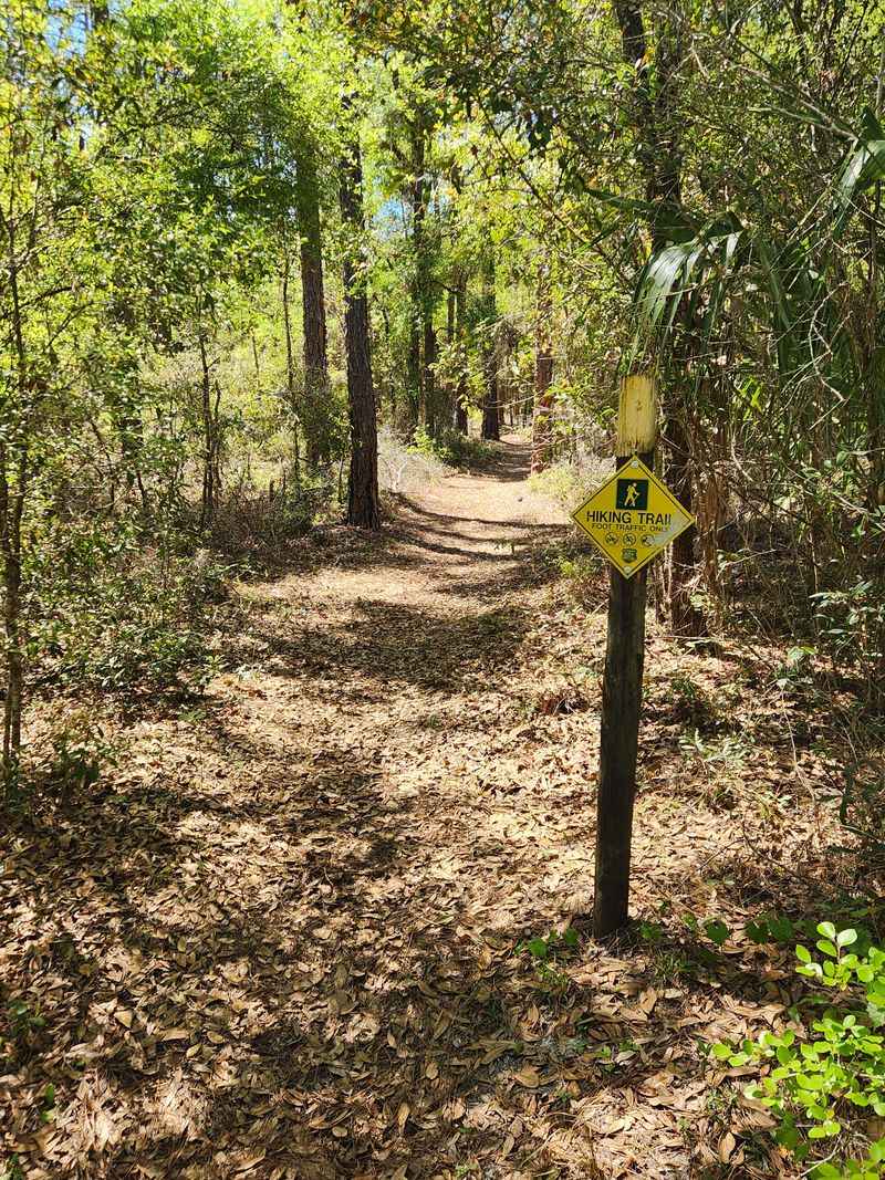 Soundtrack Of The Sink: What You Will Hear