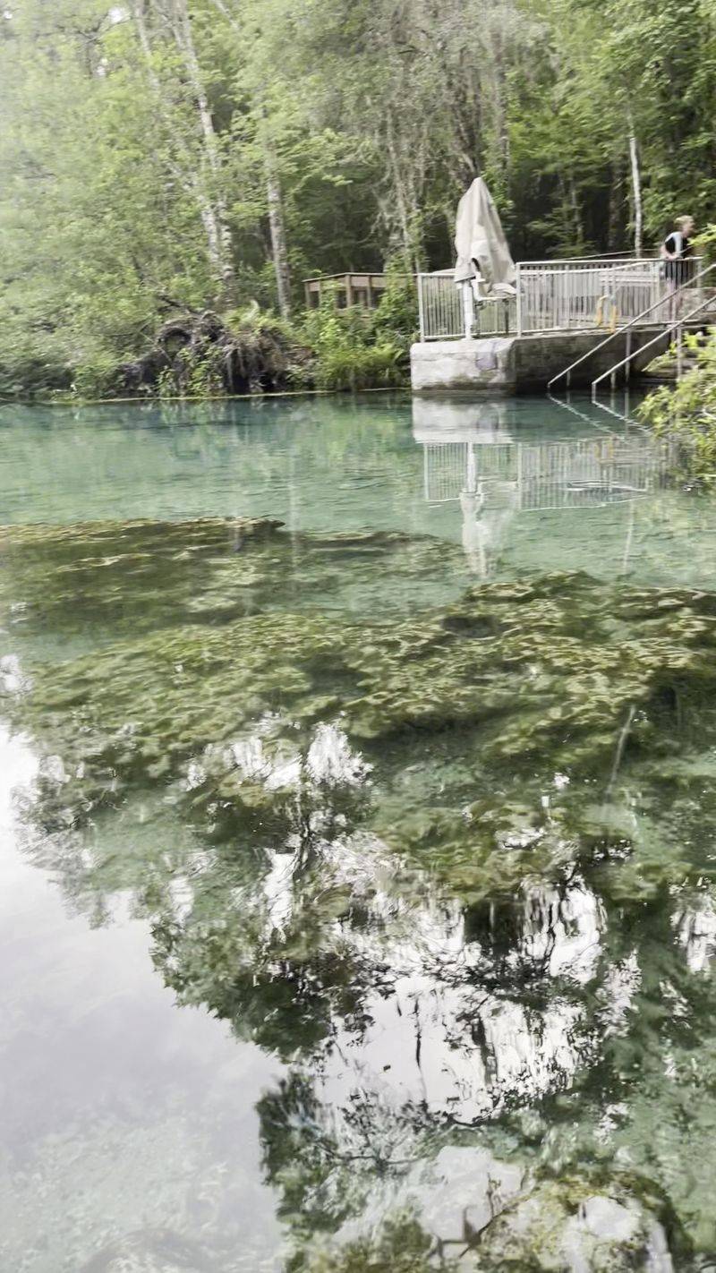 Shaded Picnic Grove Near the Head Spring