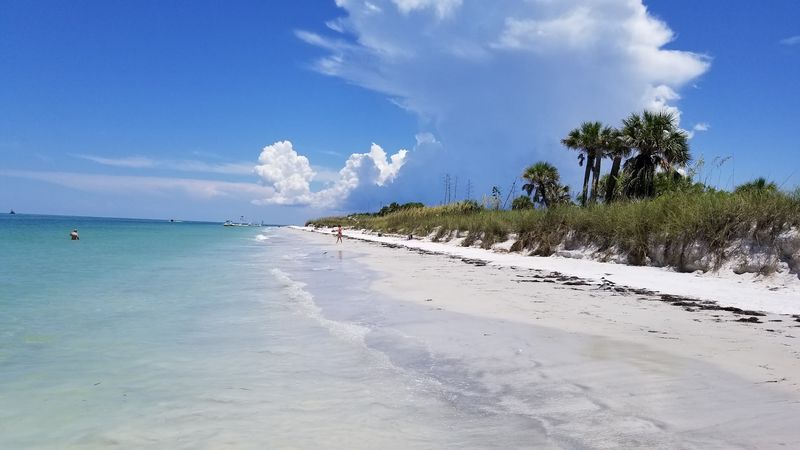 The Beaches: White Sand, Shells, And Shark Teeth