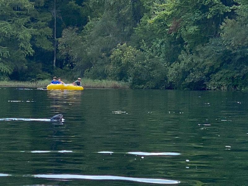 Tubing the Lazy Sparkle Highway