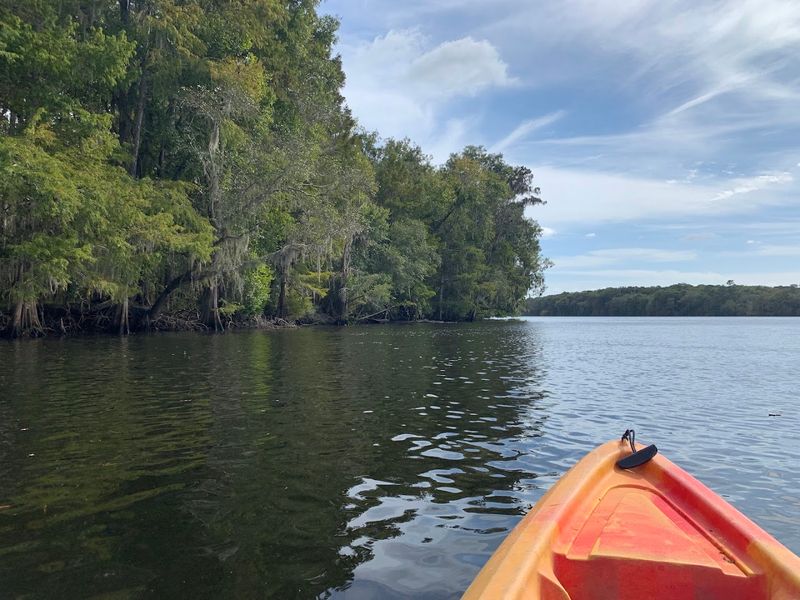 Kayaking to the Suwannee