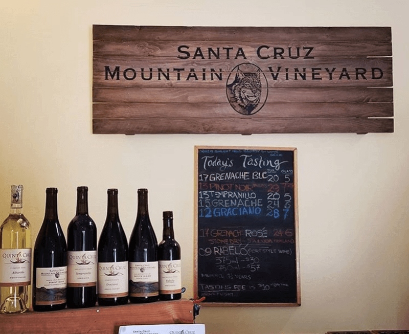 Santa Cruz Mountains — Ocean Air & Vine-Covered Hills