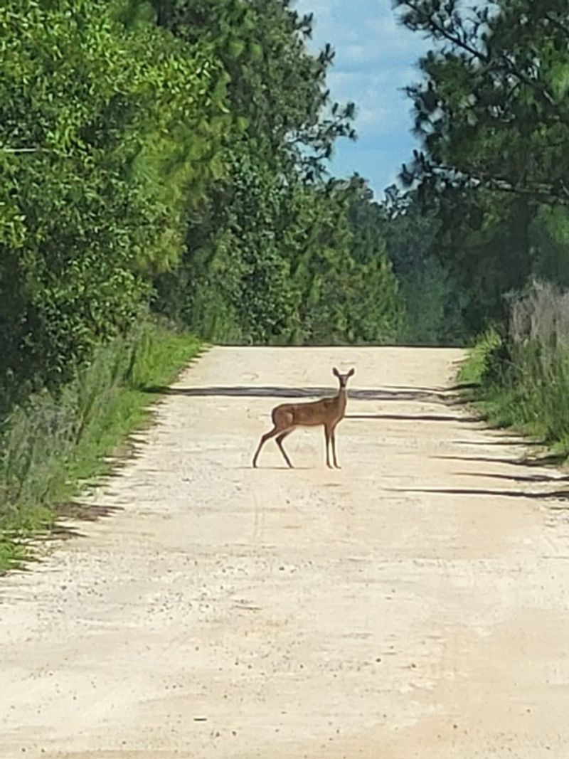 Final Mile Glow: Exiting With Gratitude