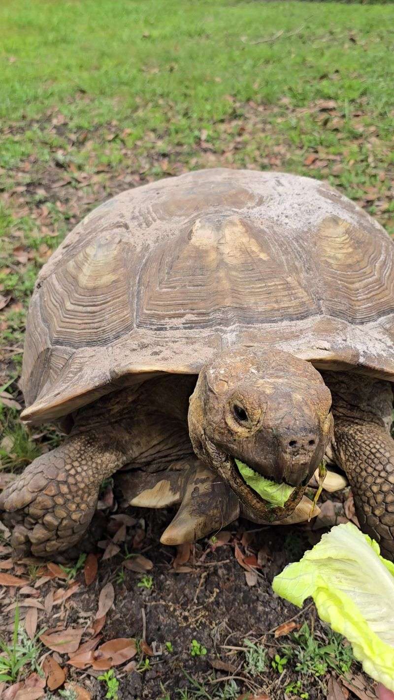 The Conservation Mission That Gives Every Visit Meaning