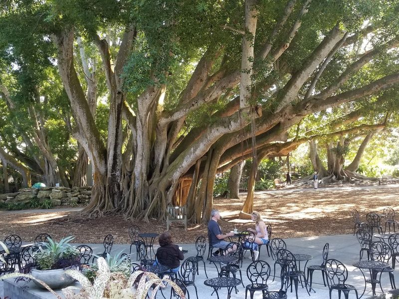 The On-Site Cafe And What To Expect There