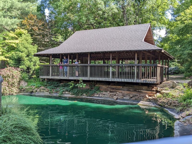 Tips for Making the Most of Your Visit