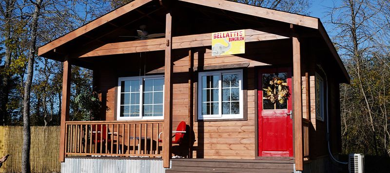 Dinner the Night Before: Spaghetti Under the Stars