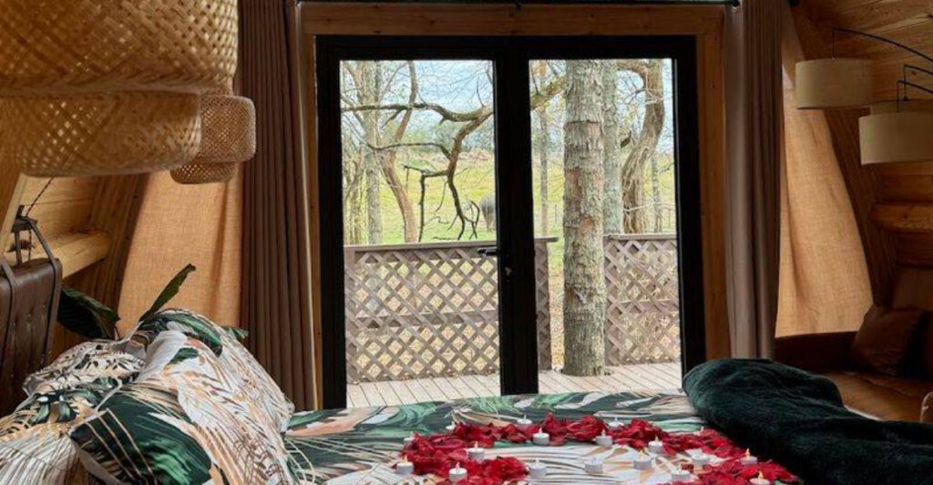 Spend the Night in an Oklahoma Cabin, Then Wake Up to Breakfast With Elephants