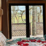 Spend the Night in an Oklahoma Cabin, Then Wake Up to Breakfast With Elephants