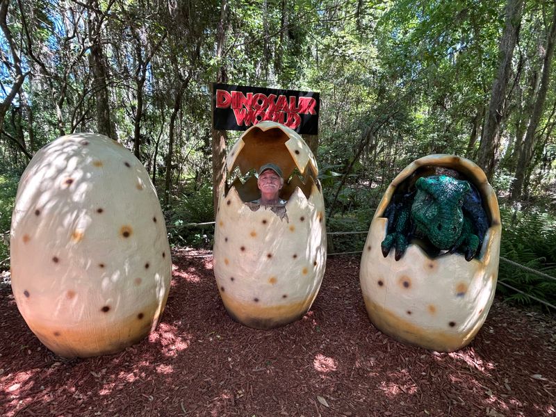 Pachycephalosaurus Arena