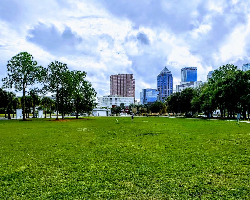 Festival Field And Community Events