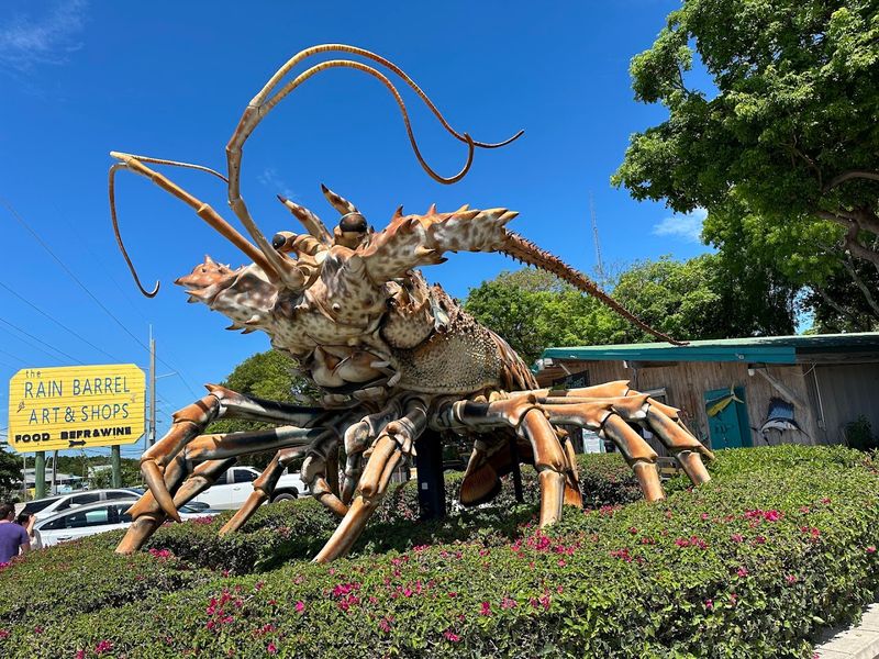 Betsy the Lobster (Islamorada)