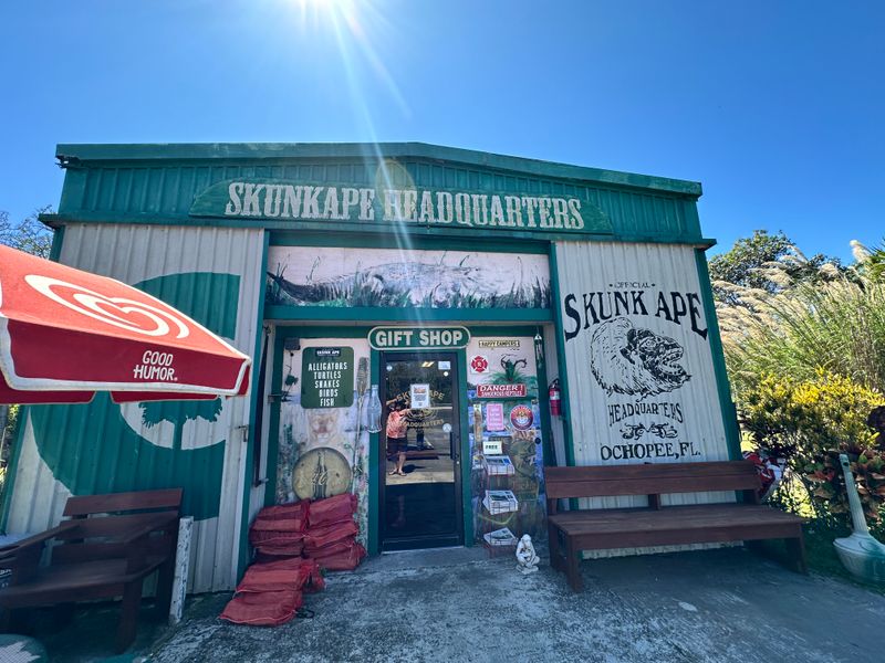 Skunk Ape Research Headquarters - Ochopee
