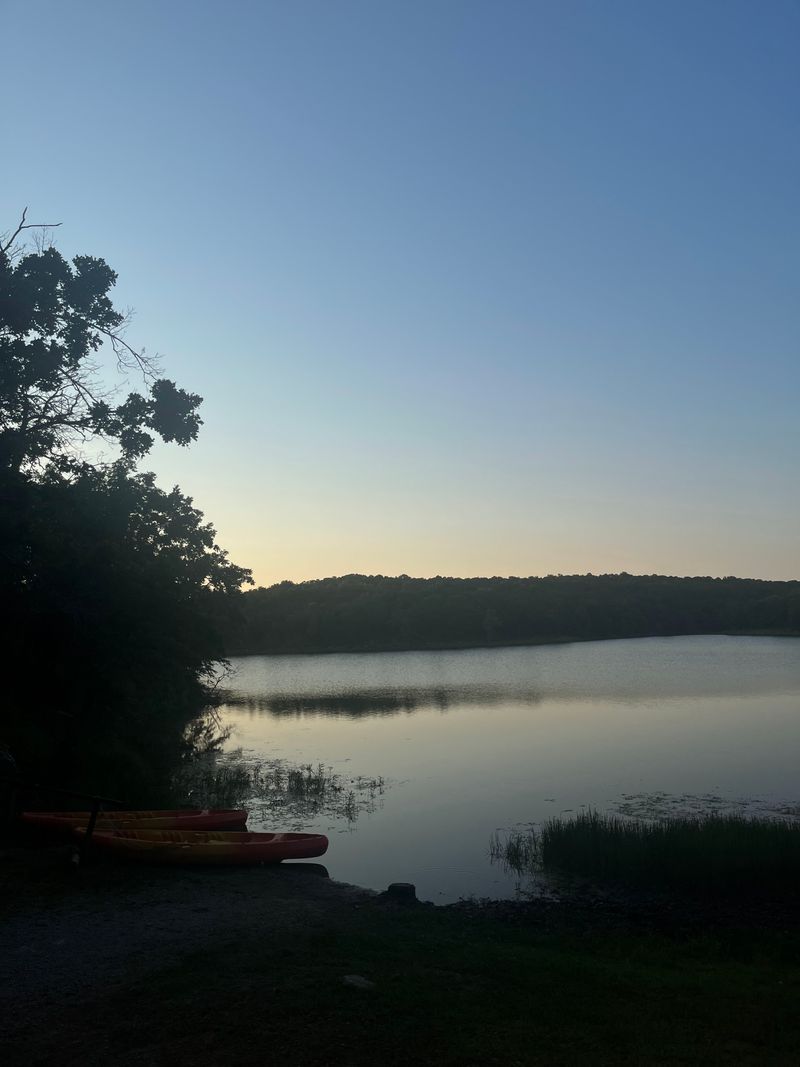 Stargazing Under Dark Skies