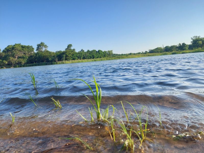 Crystal Waters and What Lives Beneath