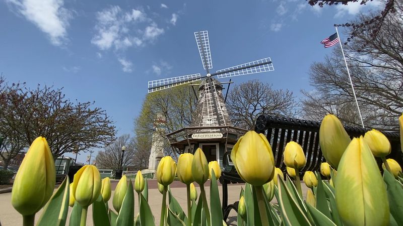 Pella, Iowa — Dutch Canal & Tulip Traditions