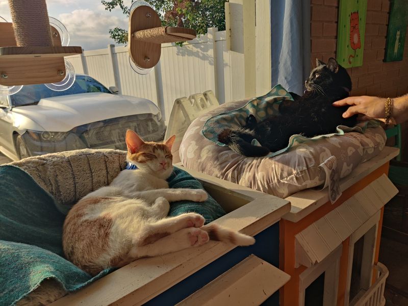 Comfort Corners And Cozy Seats