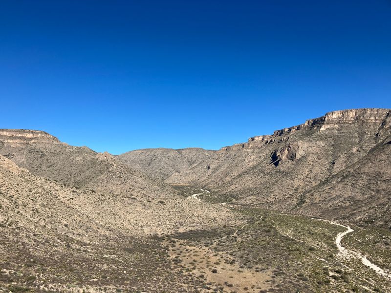 Drive the Desert Loop and Spot Wildlife
