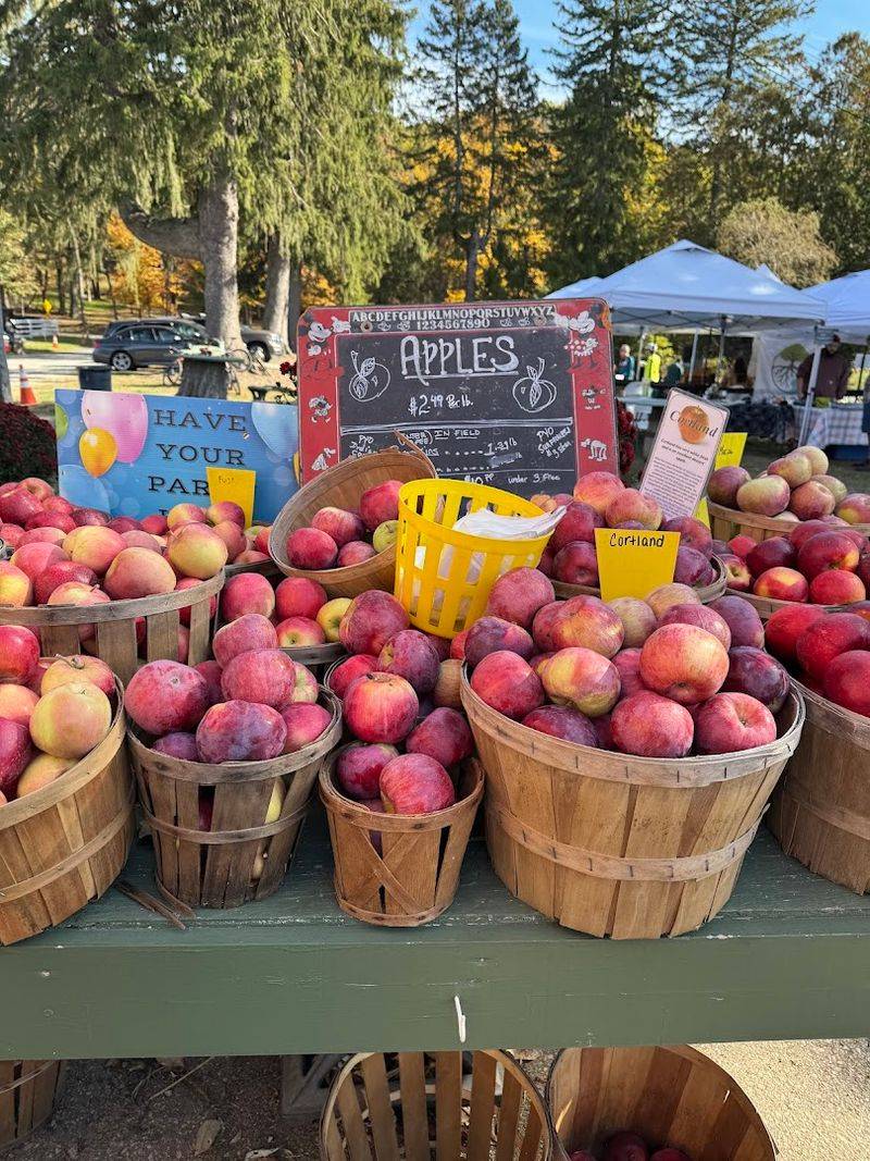 Grab Fresh Cider and Donuts at Hacklebarney Farm Cider Mill