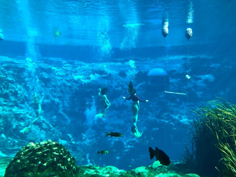 Weeki Wachee Springs State Park — Florida