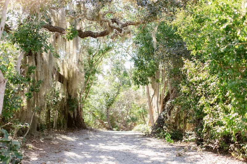 Nature Trails and Wildlife on the Island