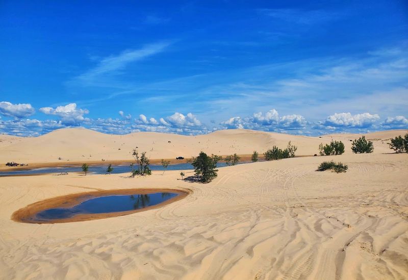 Wildlife and Fragile Plants