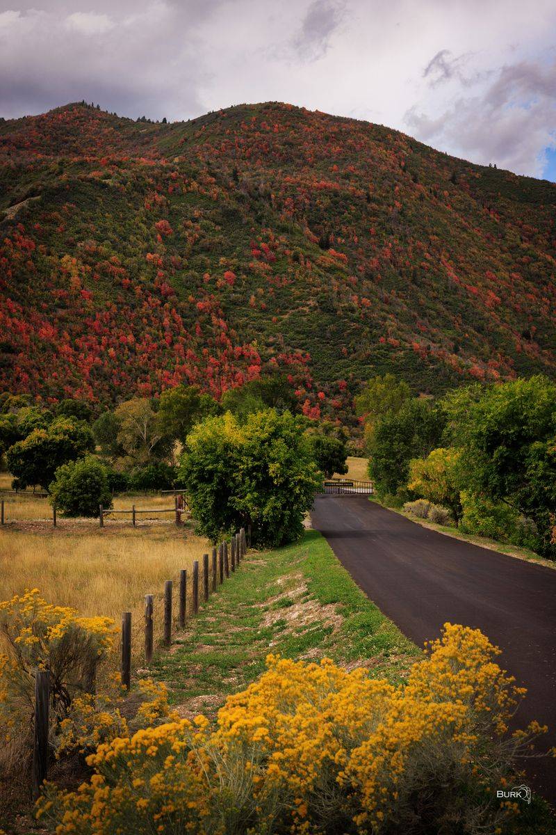 Driver behavior is a concern