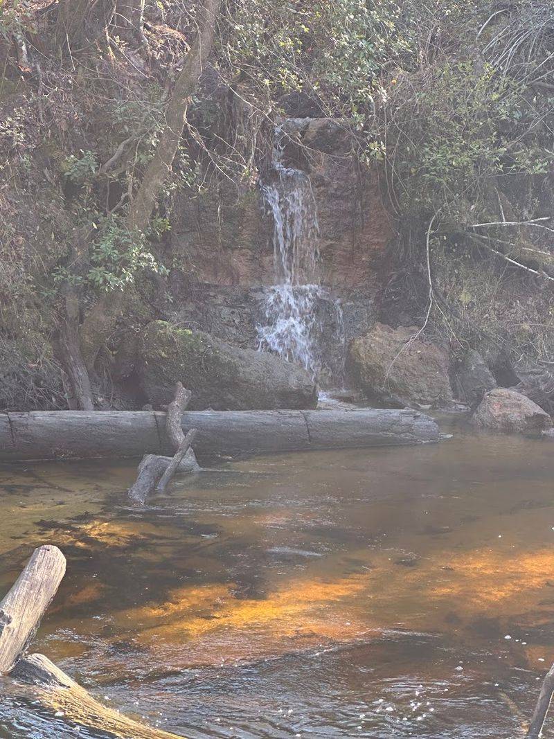 Econfina Creek Cascades – Washington County