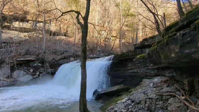 Greeter Falls Loop