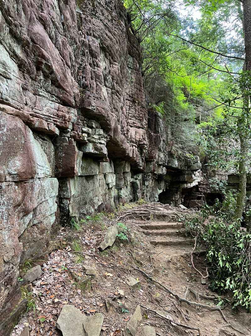 Sinks, Caves, and Sandstone Secrets