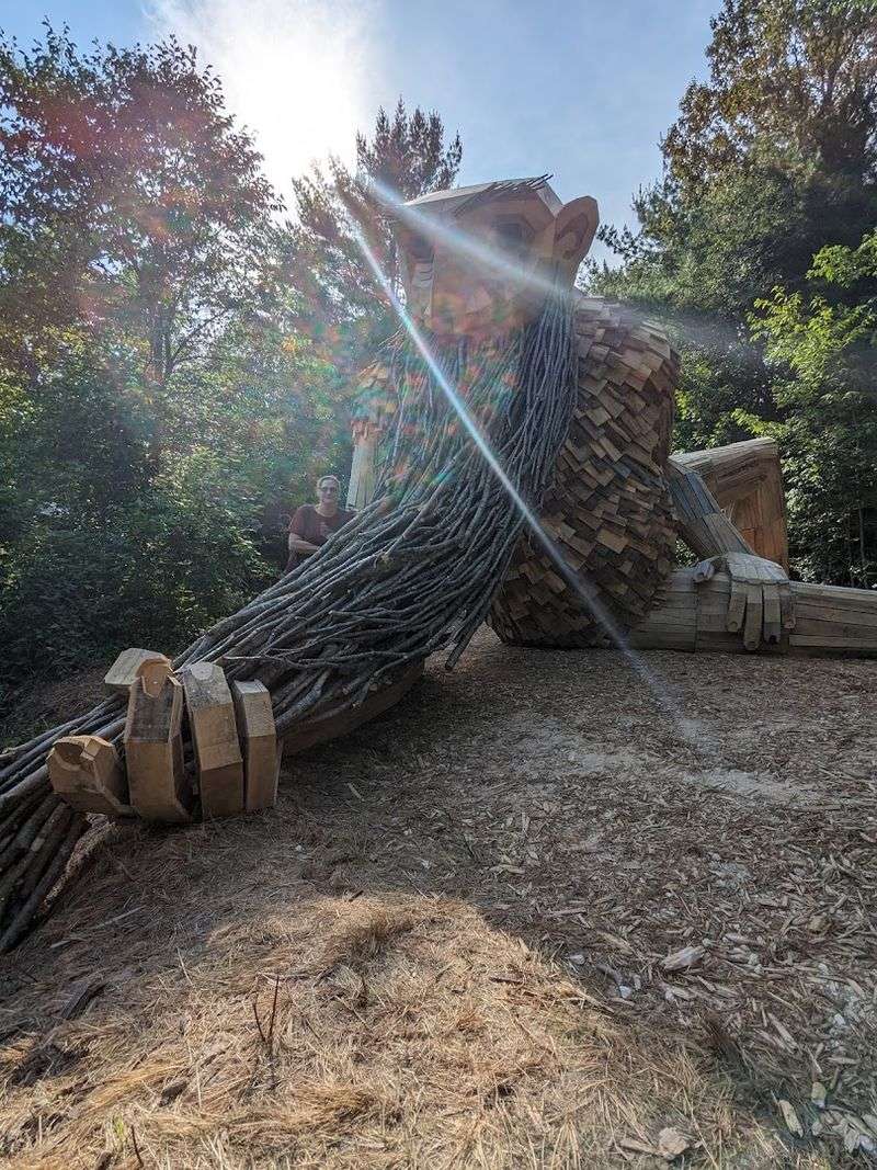 Photography Without the Fuss