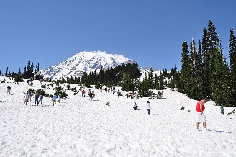 Paradise, Mount Rainier National Park, Washington