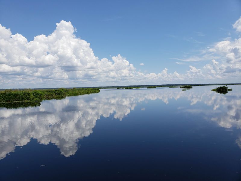 Seasonal Floods and Dry Downs
