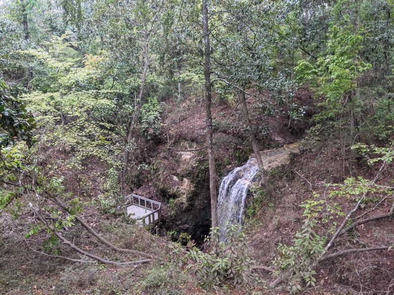 Final Loop to the Falls Again