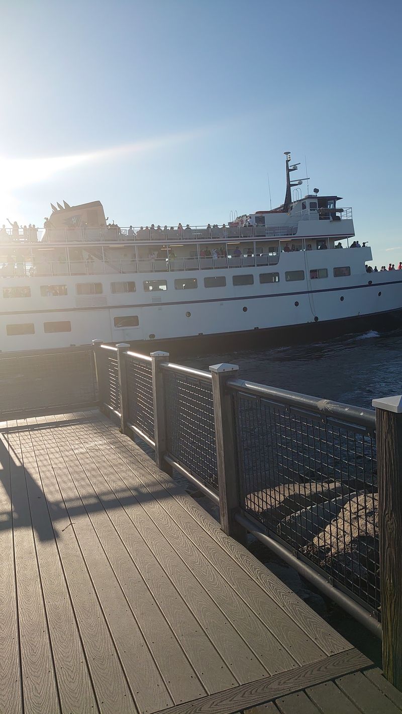 A Slower Pace of Life