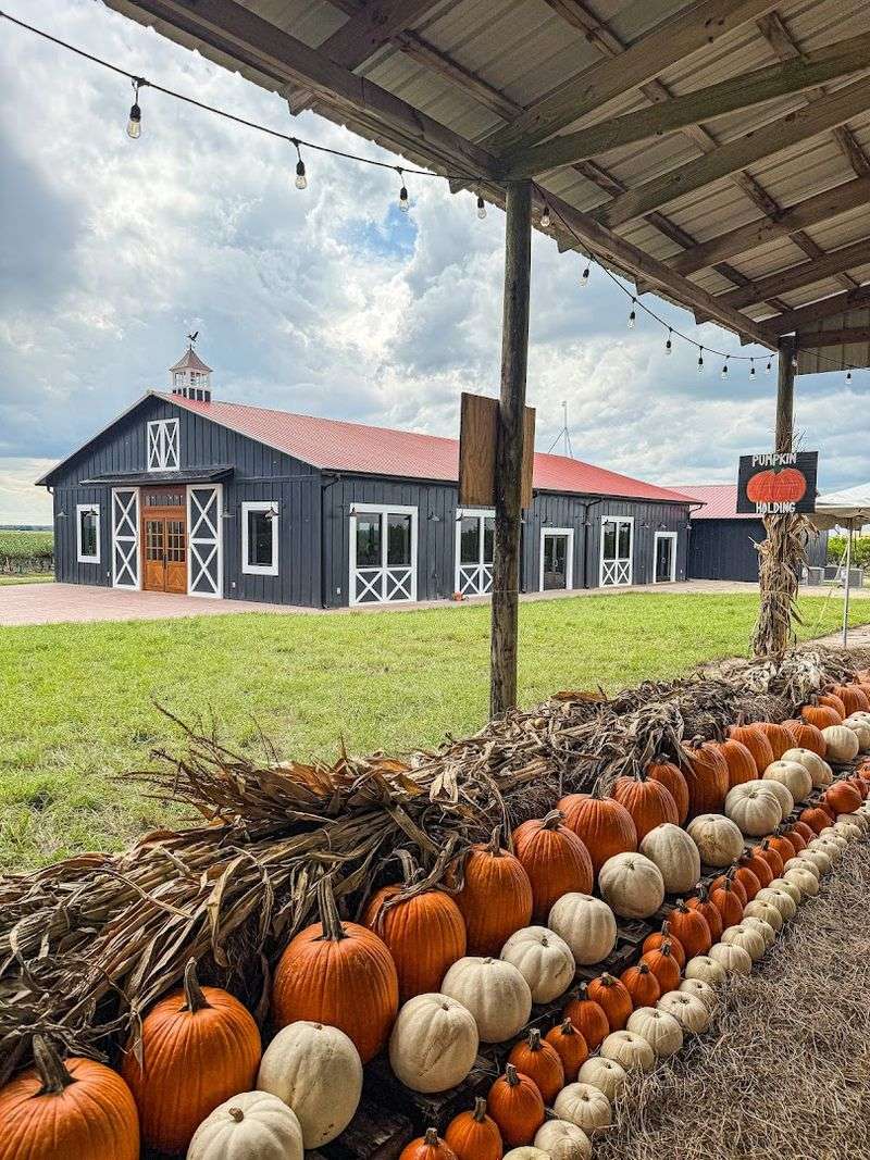 Private Events and the Venue Space