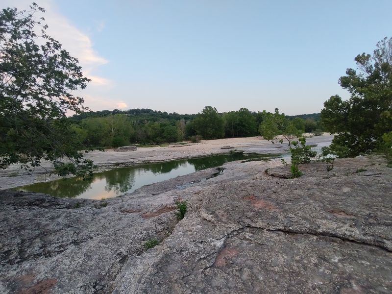 Wildlife That Shares the Space