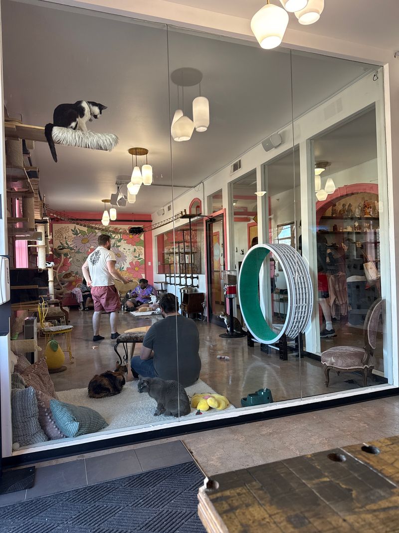 Perfect for Date Nights and Friend Hangouts