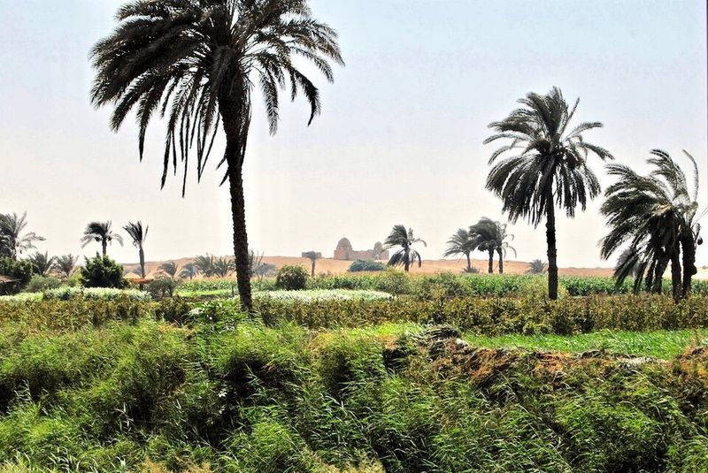 Faiyum, Egypt — Oasis of Continuous Life