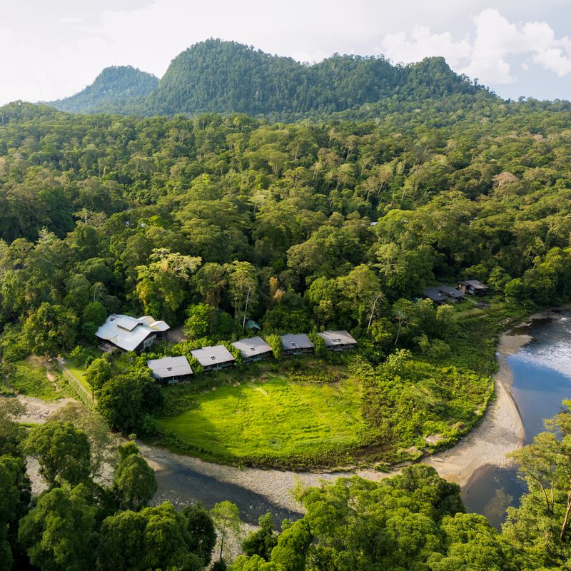 Borneo Rainforests — Malaysia & Indonesia