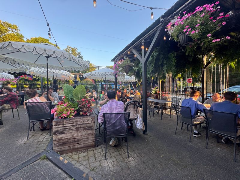 When To Go and What To Know